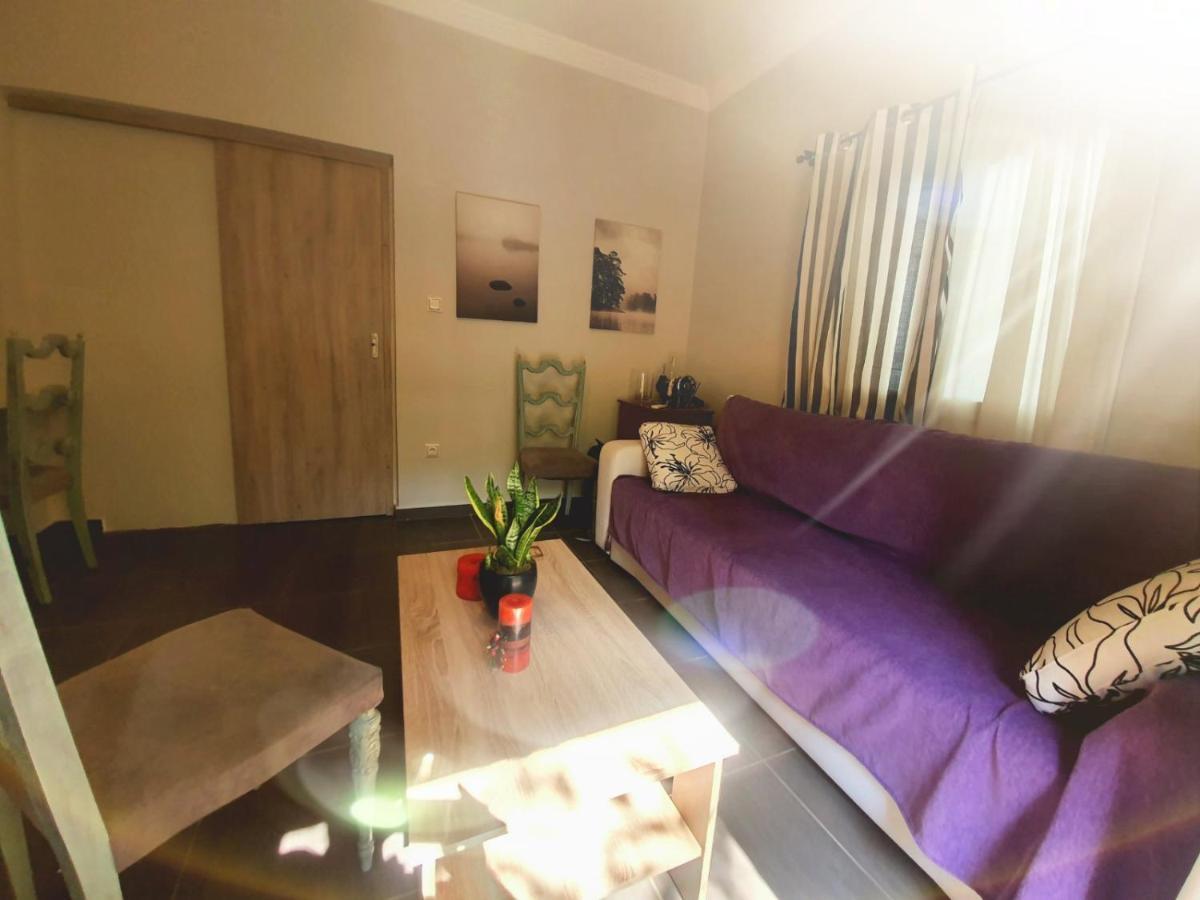 Ilias' Cosy And Relaxing Apartment アテネ エクステリア 写真